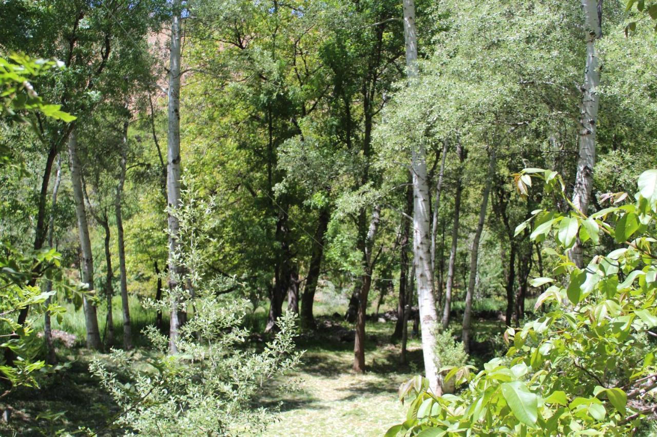 Auberge Toubkal Amsouzart Aitst Idar Tizgui 외부 사진